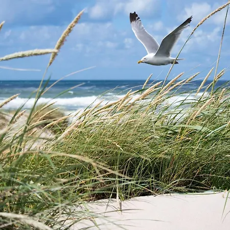 아파트 In Belgium Near The Seaside