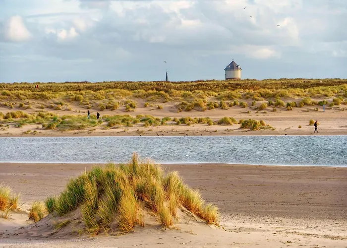 In Belgium Near The Seaside *