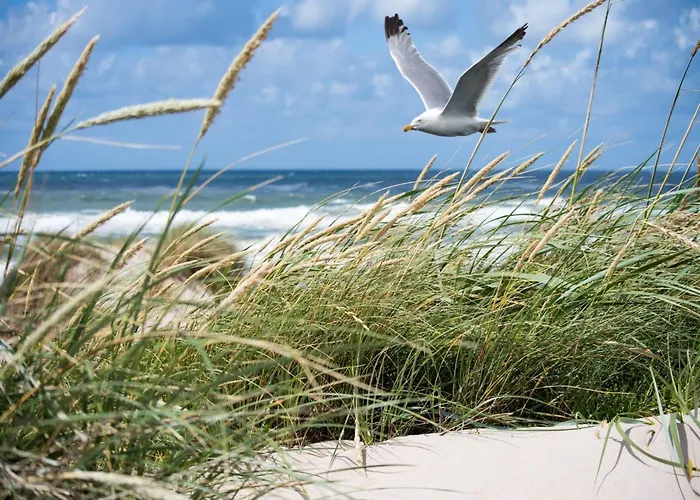 Appartement In Belgium Near The Seaside